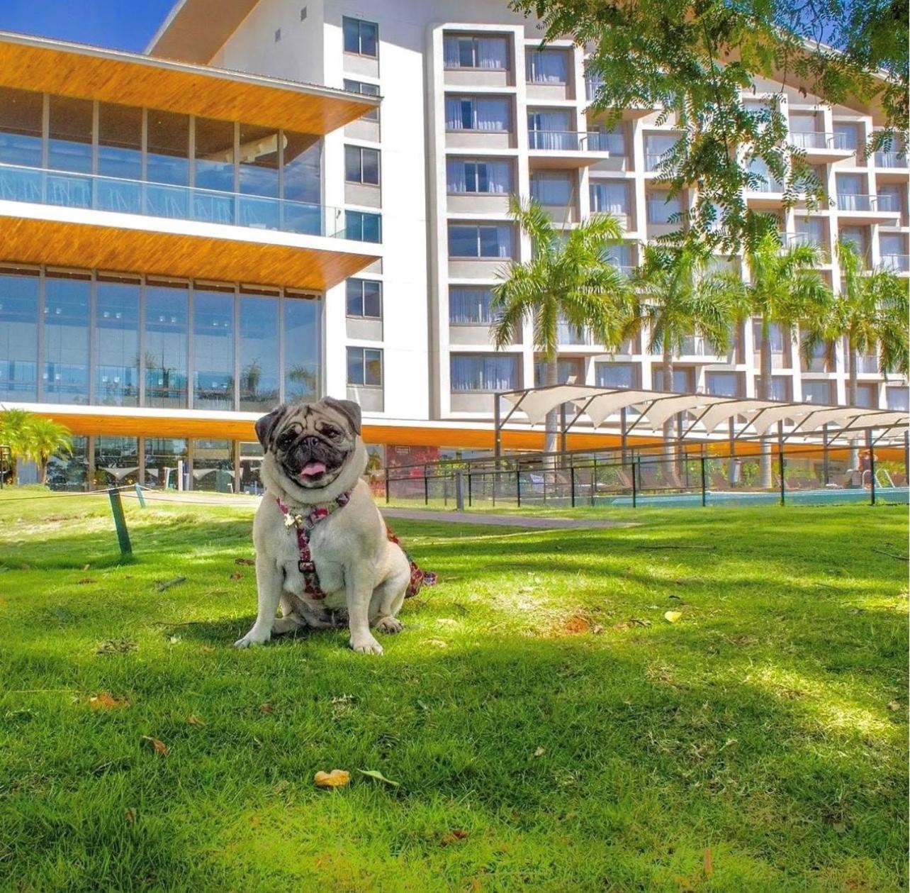 Novotel Itu Terras De Sao Jose Golf & Resort Exteriör bild